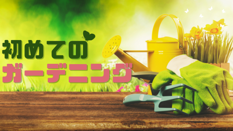 cook 今日なに作ろ？